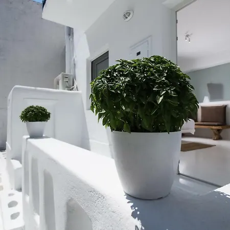 Maison d'hôtes Arktos White *