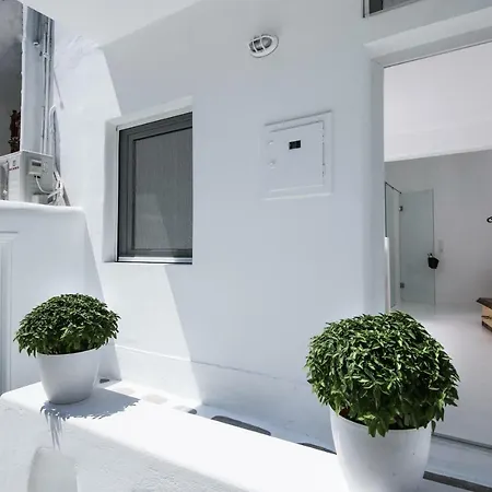 Arktos White * Mykonos Town