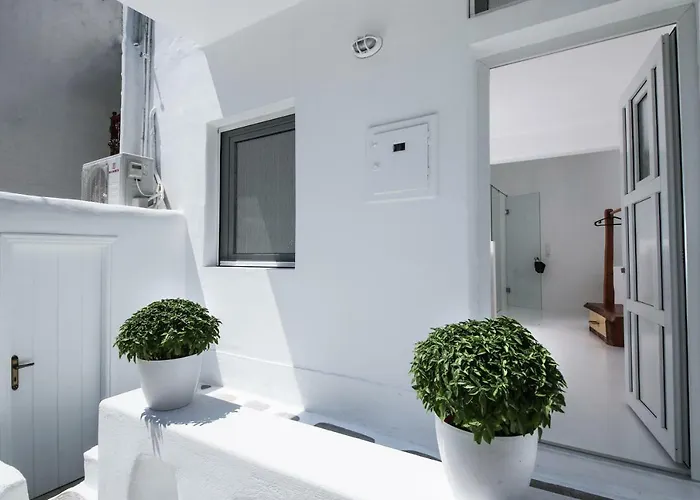 Arktos White * Mykonos Town